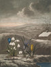 Le Perce-neige - Robert John Thornton — widok dzieła