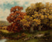 Liście drzew Adirondack - Robert Melvin Decker — widok dzieła