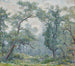 Saules anciens - Robert Reid — widok dzieła