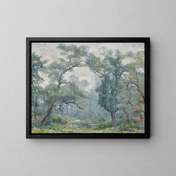 Saules anciens - Robert Reid — oprawiony obraz na ścianie