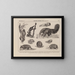 Atlas de la faune du Brésil Pl31 - Rodolpho von Ihering — oprawiony obraz na ścianie