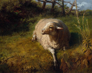 Rosa Bonheur - A Sheep at Rest.webp