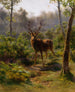 Jeden jeleń - Rosa Bonheur — widok dzieła