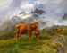 Bétail des Highlands - Rosa Bonheur — widok dzieła