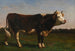 Król Stada - Rosa Bonheur — widok dzieła