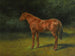 L'Automne rouge - Rosa Bonheur — widok dzieła