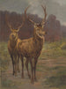 Królowie lasu - Rosa Bonheur — widok dzieła
