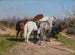 Polowanie na relację - Rosa Bonheur — widok dzieła