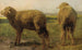 Owce na łące - Rosa Bonheur — widok dzieła