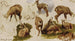 Studia nad izardem - Rosa Bonheur — widok dzieła