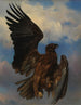L'aigle blessé - Rosa Bonheur — widok dzieła