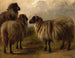 Trzy owce wełniane - Rosa Bonheur — widok dzieła