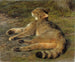 dzikiego kota - Rosa Bonheur — widok dzieła