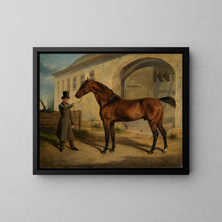 Rudolf Kuntz - Englischer Vollbluthengst Robert.webp