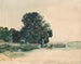 Studium drzewa - Rudolf von Alt — widok dzieła