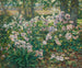 Fleurs de vent - Ruger Donoho — widok dzieła