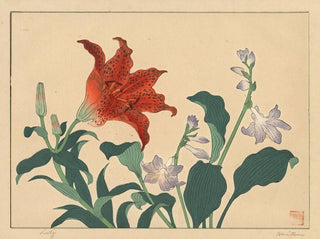 Lys - Sakai Hōitsu — widok dzieła