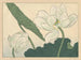 Lotus - Sakai Hōitsu — widok dzieła