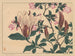 Magnolia - Sakai Hōitsu — widok dzieła