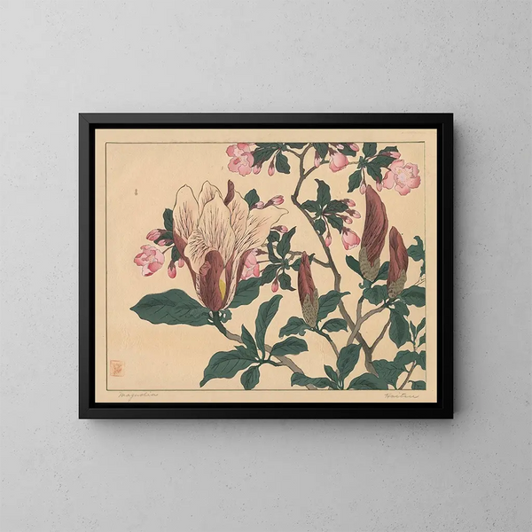 Magnolia - Sakai Hōitsu — oprawiony obraz na ścianie