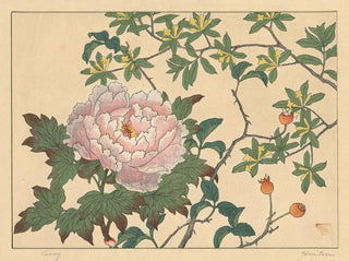 Piwonia - Sakai Hōitsu — widok dzieła