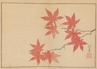 Sakai Hoitsu - Sakai Hoitsu gajo Pl05.webp