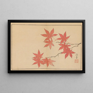 Sakai Hoitsu - Sakai Hoitsu gajo Pl05.webp