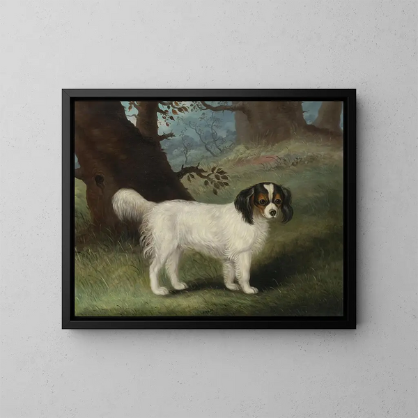King Charles Spaniel - Samuel Spode — oprawiony obraz na ścianie
