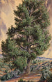 Pin - Sandow — widok dzieła