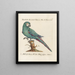 L'ornithologie méthodiquement digérée Pl101 - Saverio Manetti — oprawiony obraz na ścianie