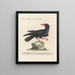Ornithologie méthodiquement digérée Pl149 - Saverio Manetti — oprawiony obraz na ścianie