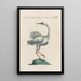 Ornithologia methodice digesta Pl408 - Saverio Manetti — oprawiony obraz na ścianie