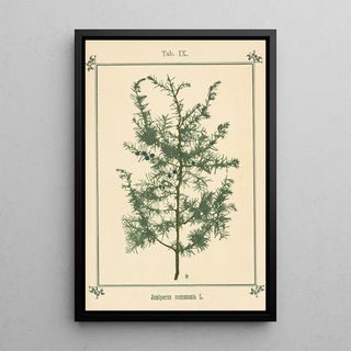 Sebastian Kneipp - Plantatlas to My watercure Pl29.webp