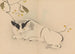 Zeshin iboku tairyukyo gafu Pl08 - Shibata Zeshin — widok dzieła