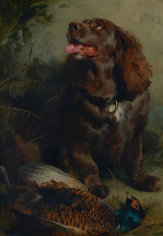 Sir Edwin Henry Landseer - A Sussex Spaniel and a pheasant.webp