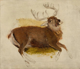 Sir Edwin Henry Landseer - Dying Stag.webp