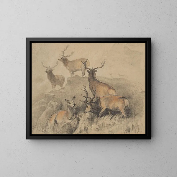 Niektóre z najpiękniejszych jeleni w lesie - Sir Edwin Henry Landseer — oprawiony obraz na ścianie