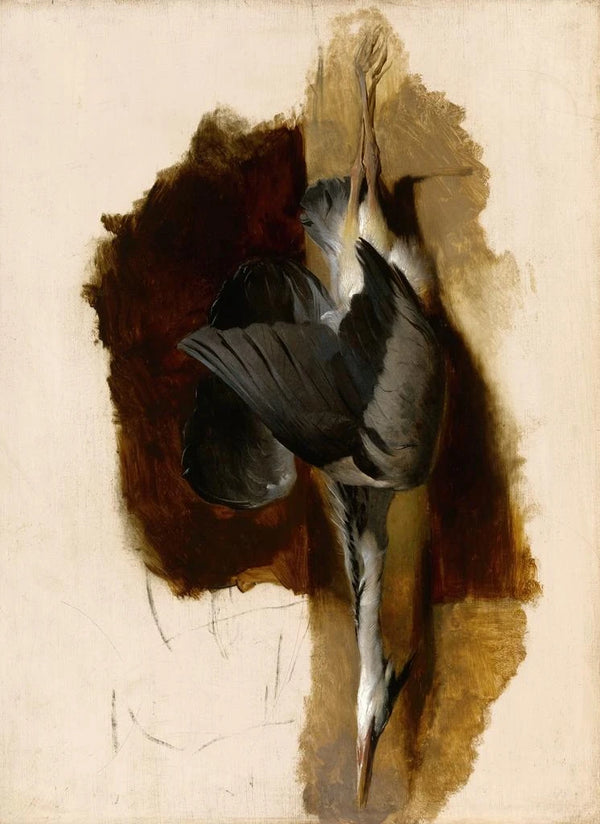 Studium martwego herona - Sir Edwin Henry Landseer — oprawiony obraz na ścianie