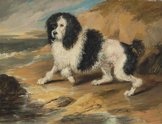 Sir Edwin Henry Landseer - Tapageur the Poodle belonging to the Honorable Frederick Byng.webp