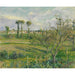 Reprodukcja obrazu Zachód słońca nad Valhermeil, Auvers-sur-Oise - Camille Pissarro