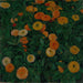 Soucis - Koloman Moser — widok dzieła