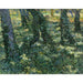 Reprodukcja obrazu Las pod drzewami - Vincent van Gogh