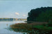 Lac z lilijkami wodnymi - Stanisław Witkiewicz — widok dzieła