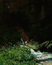 Source - Stanisław Witkiewicz — widok dzieła