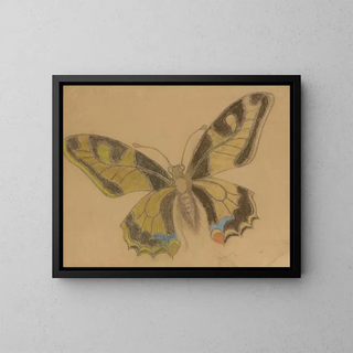 Papillon Papilio machaon - Stanisław Wyspiański — oprawiony obraz na ścianie