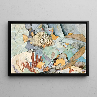 Stephen Haweis - Atlantic trunkfish.webp