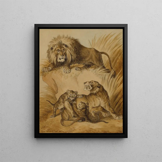 Sydenham Edwards - A Lion Lioness and two cubs.webp