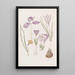 Crocus - Sydenham Edwards — oprawiony obraz na ścianie