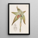 Lycaste à grandes fleurs - Sydenham Edwards — oprawiony obraz na ścianie