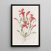 Ruellia à grandes feuilles - Sydenham Edwards — oprawiony obraz na ścianie